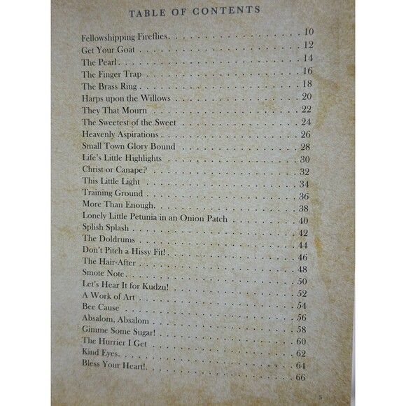 Dayspring Sweet Tea for the Soul : Down-Home Devotions to Comfort the Heart - Picture 5 of 6